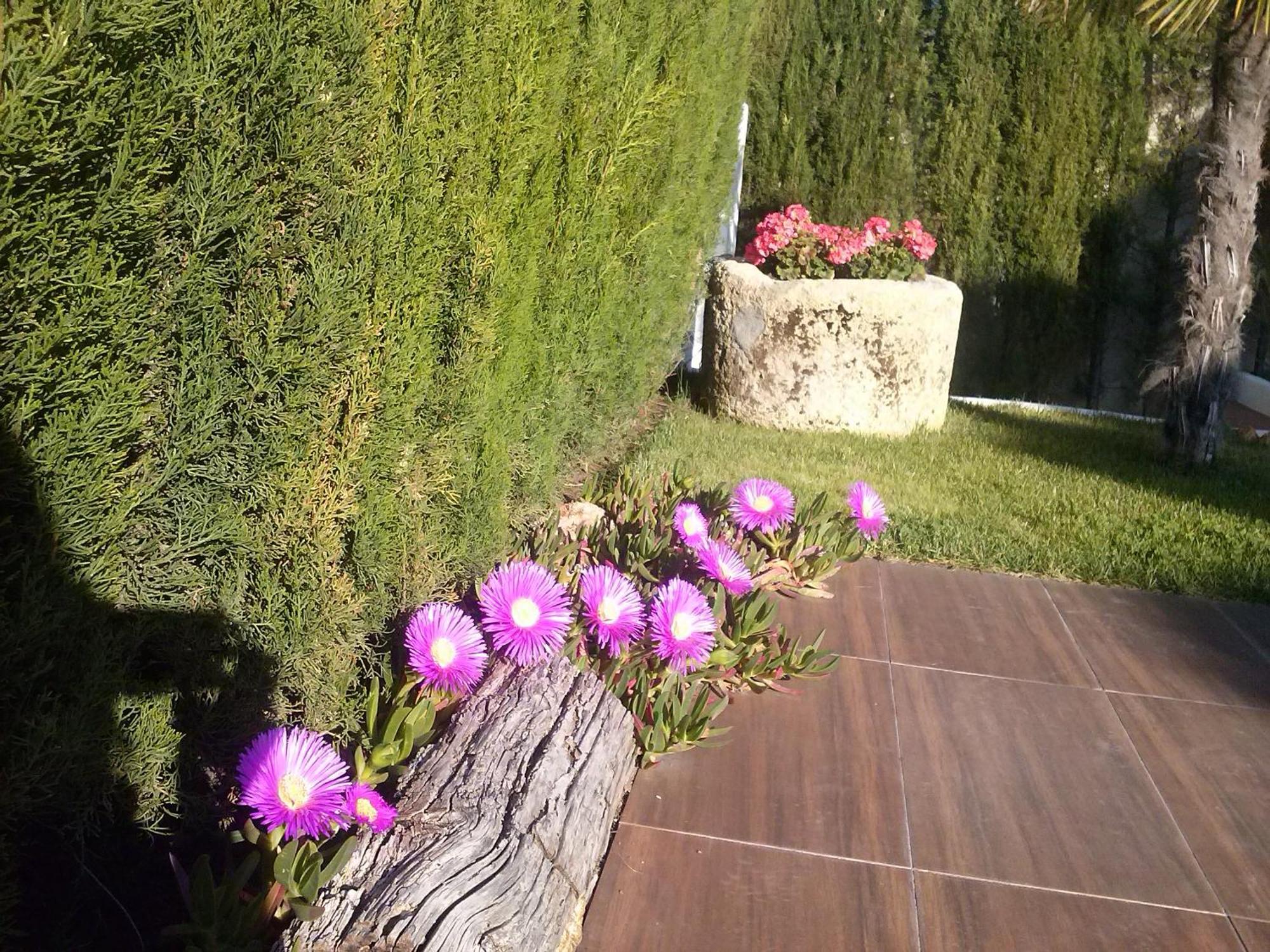 Chalet Airam โมนาชิล ภายนอก รูปภาพ